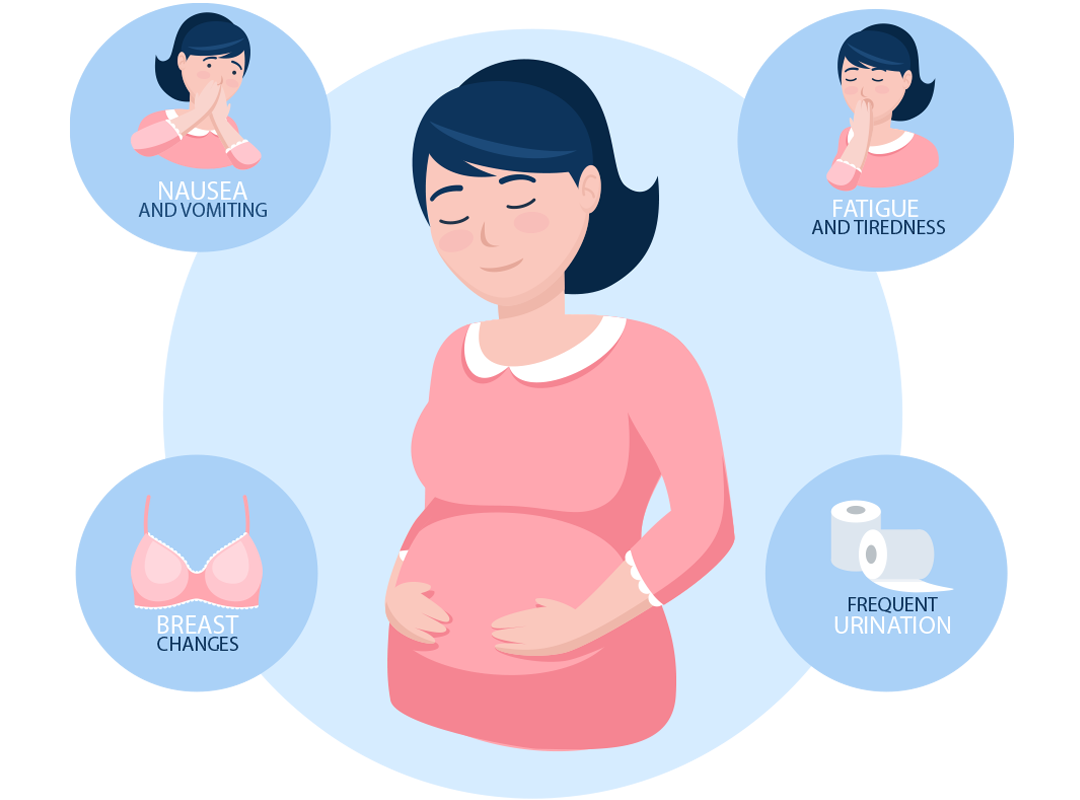 Pregnancy Symptoms